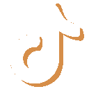 TikTok icon